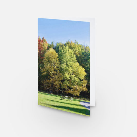 Les couleurs de l'automne