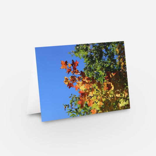 Les feuilles d'automne